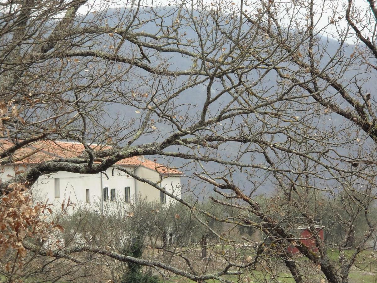 La Masseria Di Antonio E Teresina Colli a Volturno Exterior photo